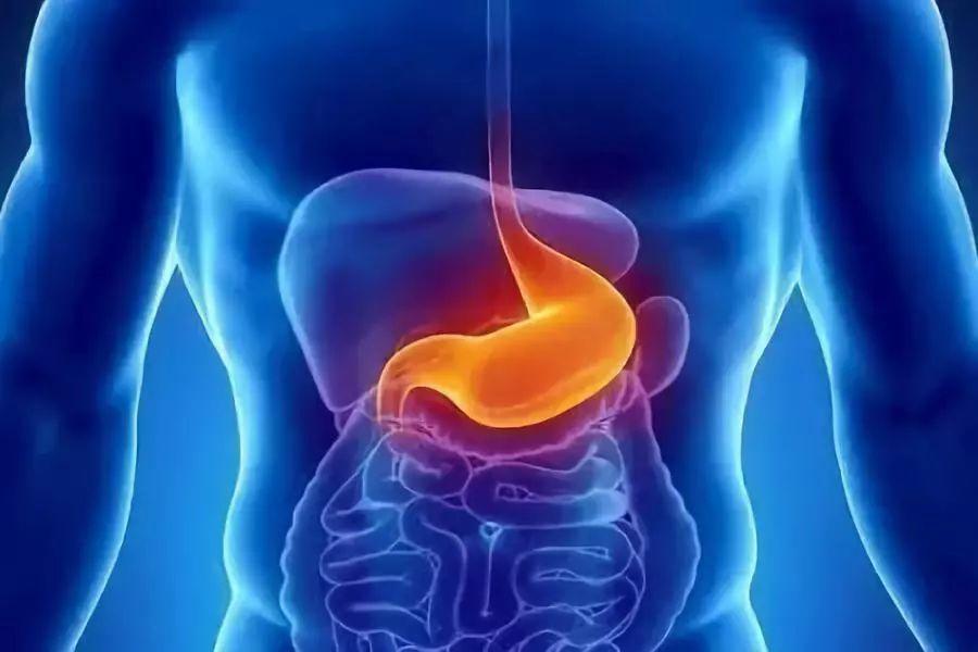 造成胃癌的原因有哪些?